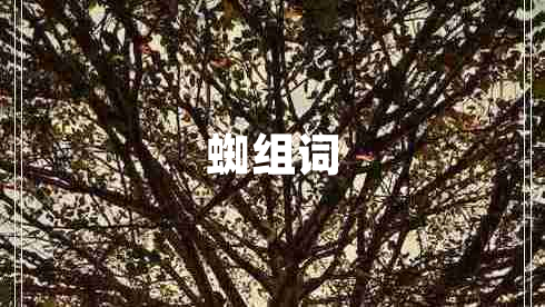 蜘組詞