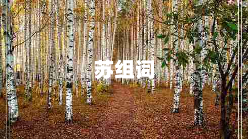 蘇組詞