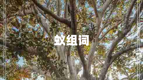 蟻組詞