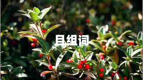 且組詞