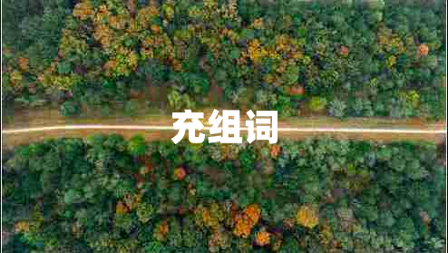 充組詞