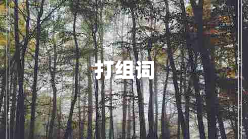 打組詞
