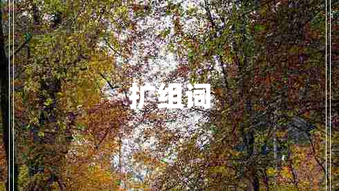 擴(kuò)組詞