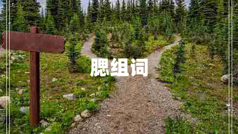 腮組詞