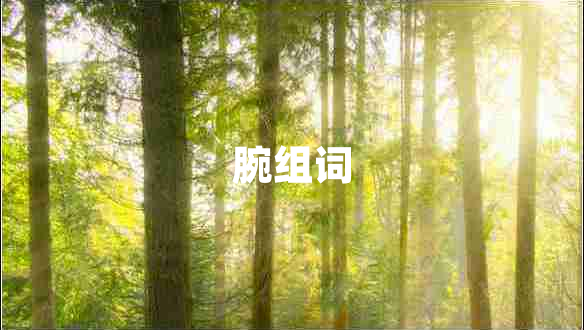 腕組詞