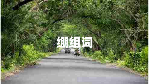 繃組詞