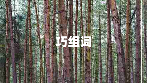 巧組詞