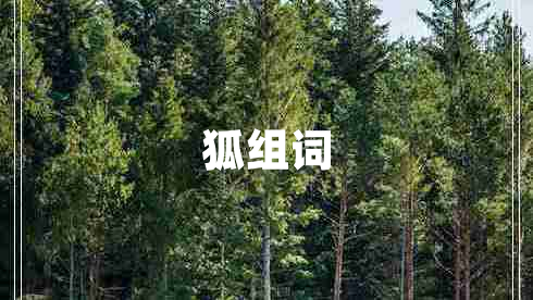 狐組詞