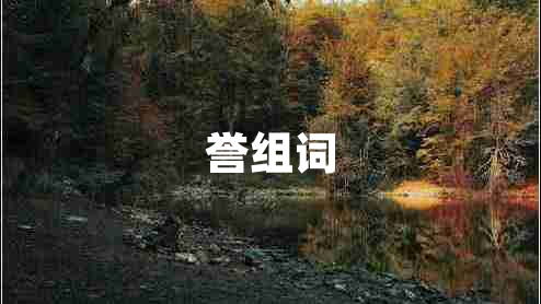 譽(yù)組詞