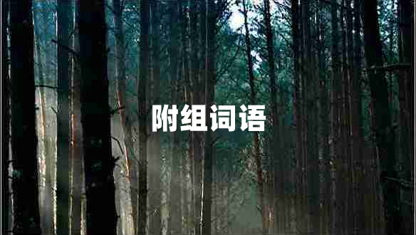 附組詞語(yǔ)