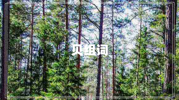 貝組詞