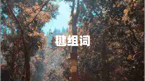 毽組詞
