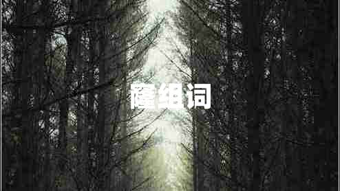 窿組詞
