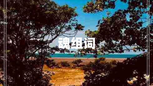 魂組詞