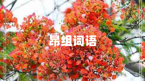 昂組詞語