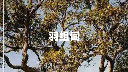 羽組詞