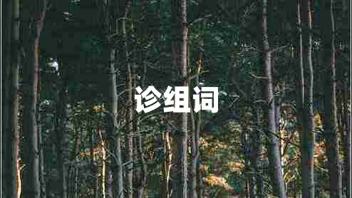 診組詞