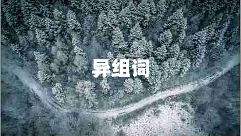 異組詞