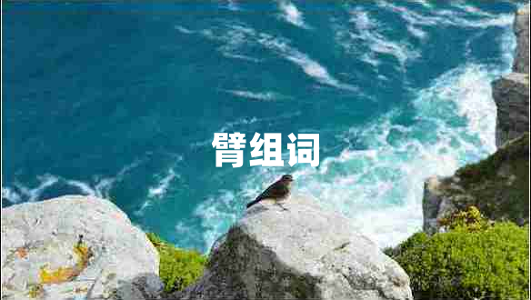 臂組詞