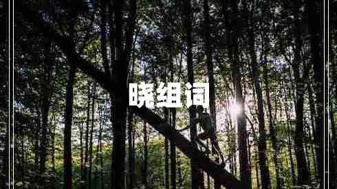 曉組詞