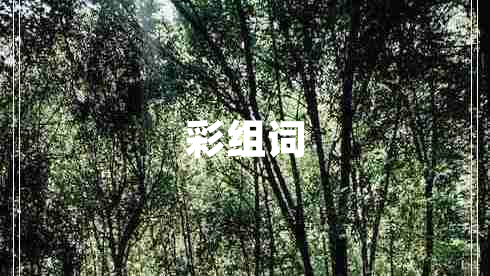 彩組詞