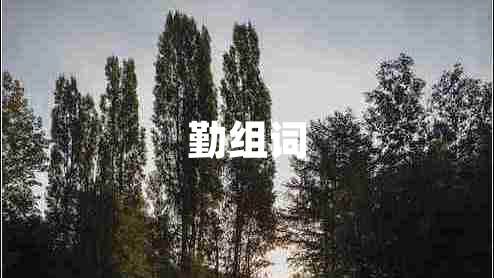 勤組詞