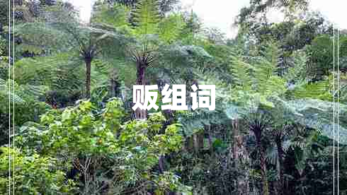 販組詞
