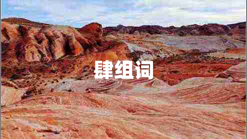 肆組詞