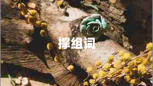 撐組詞