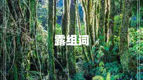 露組詞