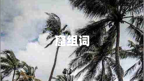 窟組詞