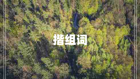 揩組詞
