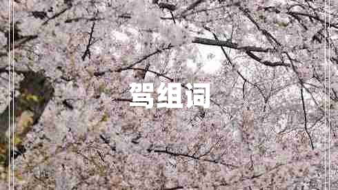 駕組詞
