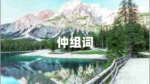 仲組詞