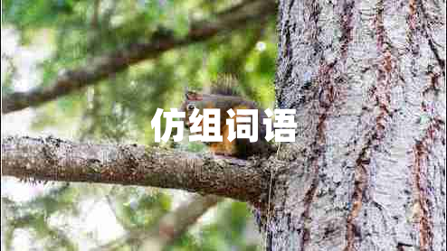 仿組詞語(yǔ)