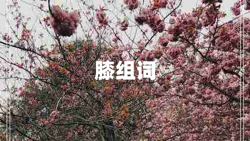 膝組詞