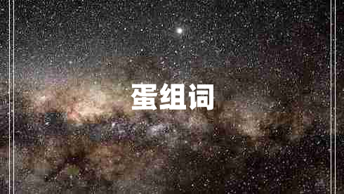 蛋組詞