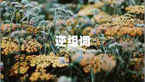 逆組詞