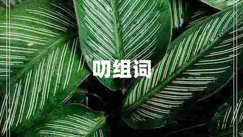叨組詞