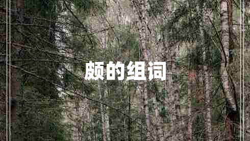 頗的組詞