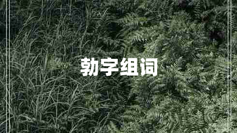 勃字組詞