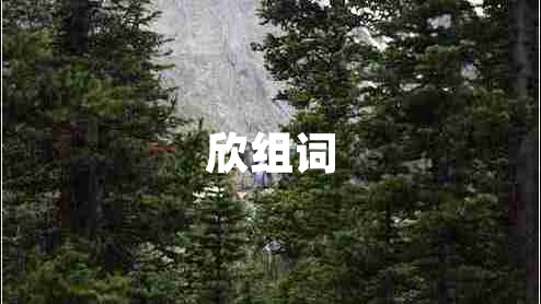 欣組詞