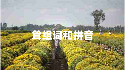 聳組詞和拼音