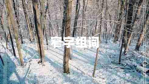 窄字組詞