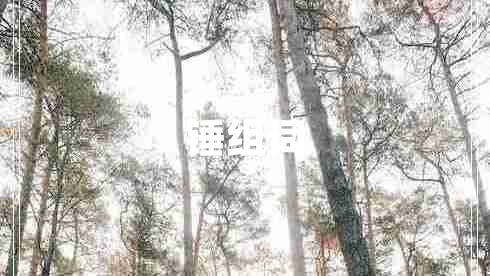 錘組詞