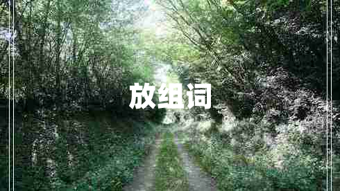 放組詞