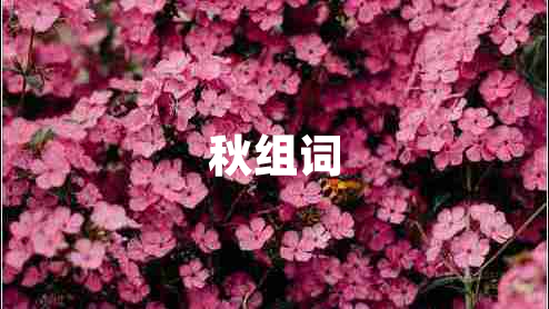 秋組詞