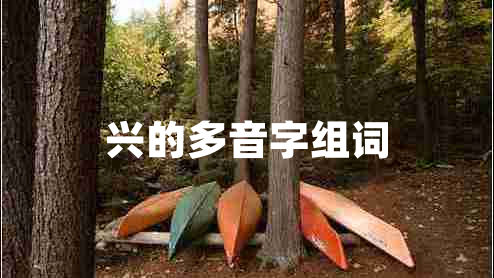 興的多音字組詞