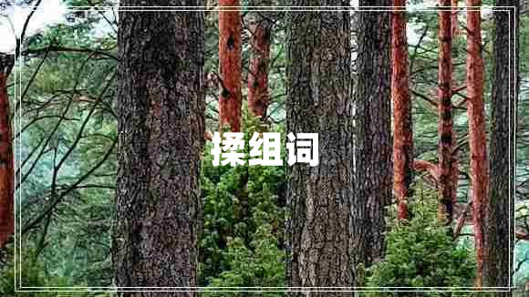 揉組詞