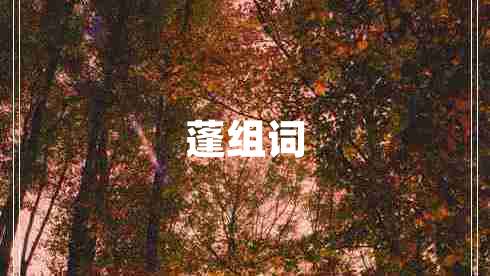 蓬組詞